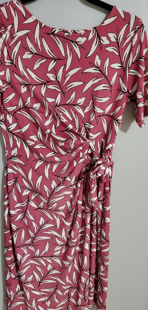 Ann Taylor Dress